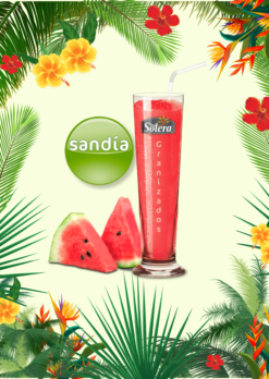 Concentração de Granizado - Melancia 1LT