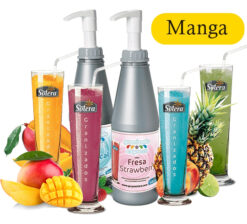Granizado Express Solera - Manga