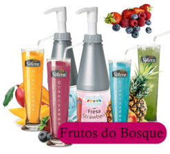 Granizado Express Solera - Frutos do Bosque